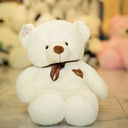 teddybear12