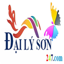 dailyson247